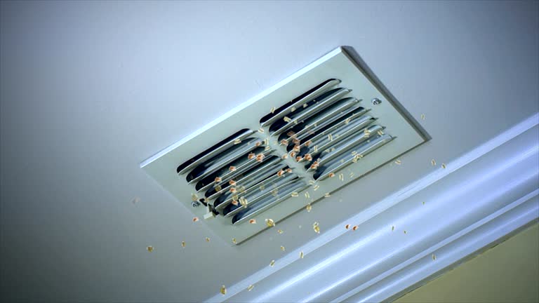 Best Affordable HVAC Duct Cleaning  in Noank, CT